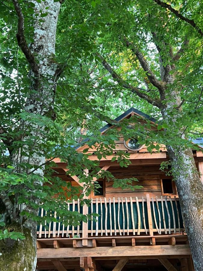 Charmante Cabane Dans Les Arbres Avec Jacuzzi Et Sauna Boismorand Luaran gambar