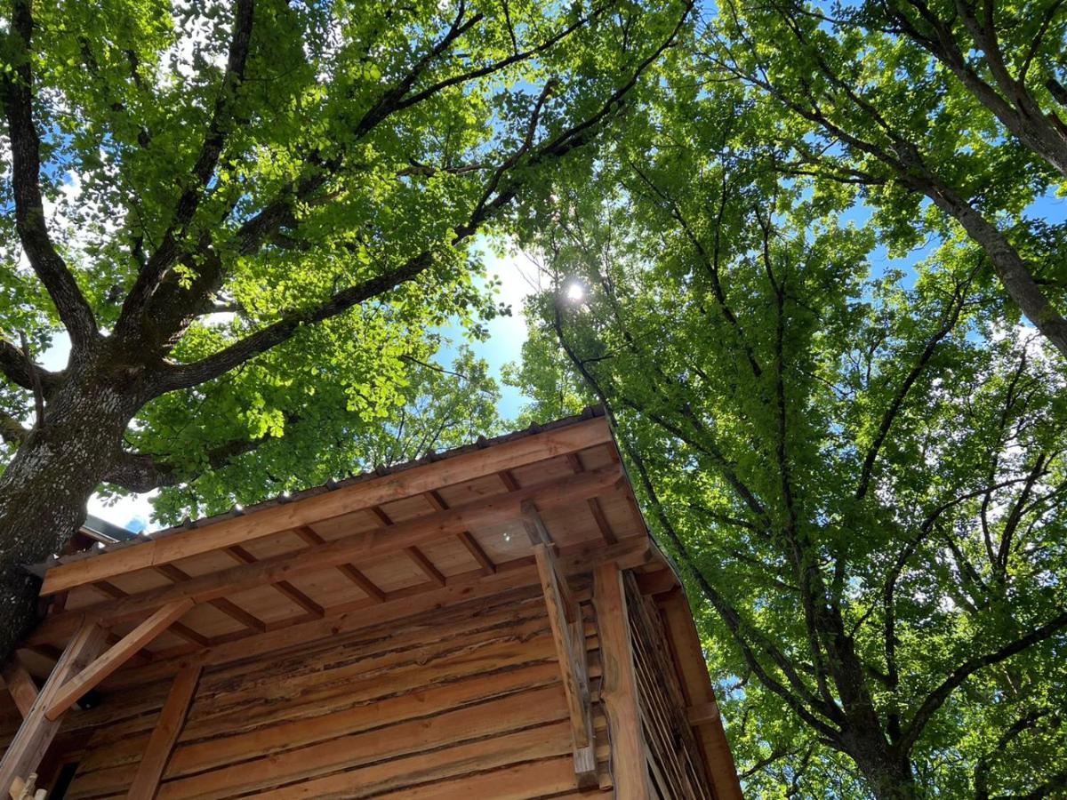 Charmante Cabane Dans Les Arbres Avec Jacuzzi Et Sauna Boismorand Luaran gambar